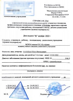 Справка в институт